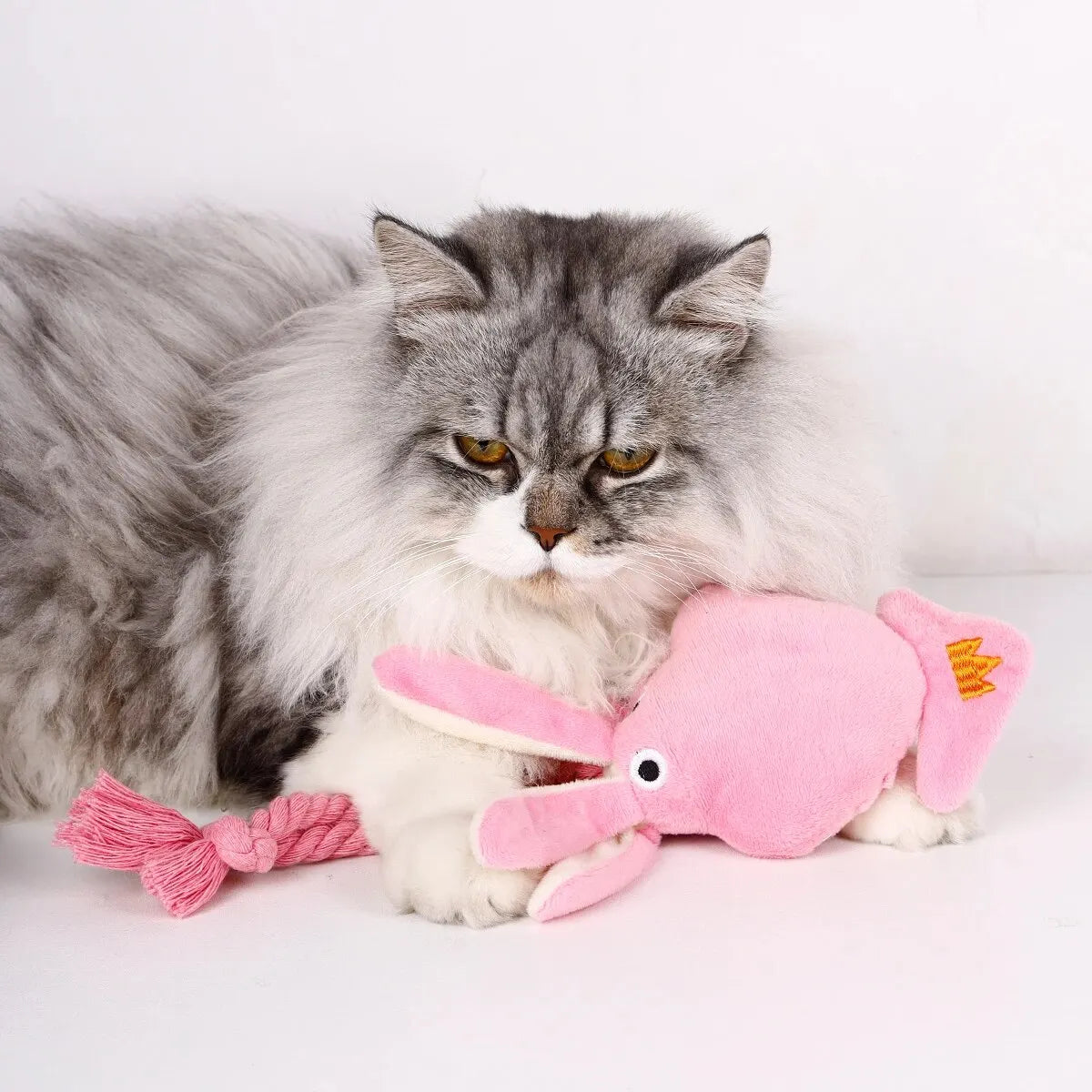 đŸ Hundleksak â Rosa PlyschblĂ€ckfisk med Repsvans