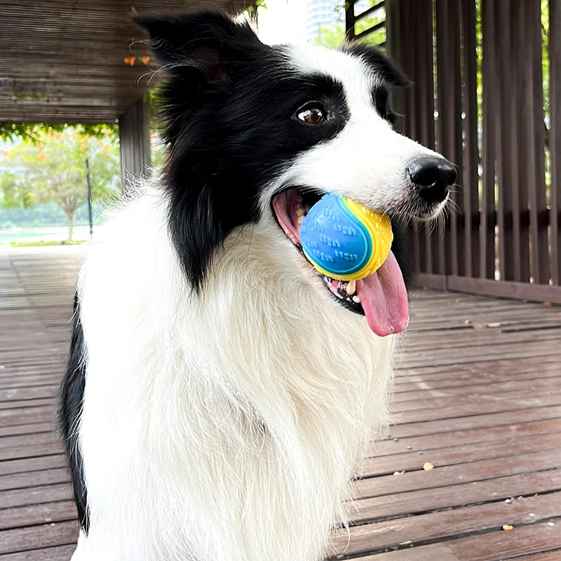 🐾 Interaktiv Hundboll – Pipande & Tandvårdande