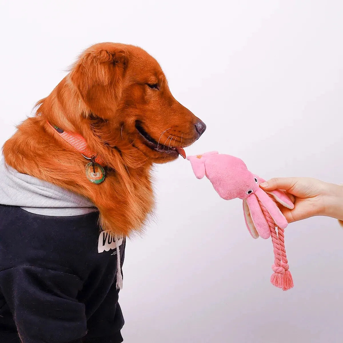 đŸ Hundleksak â Rosa PlyschblĂ€ckfisk med Repsvans