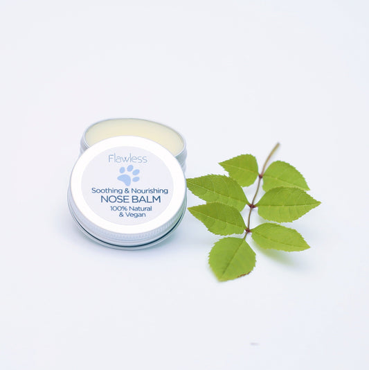 Petsos Vegansk Nosbalsam – kokos & lavendel (15 g)-0