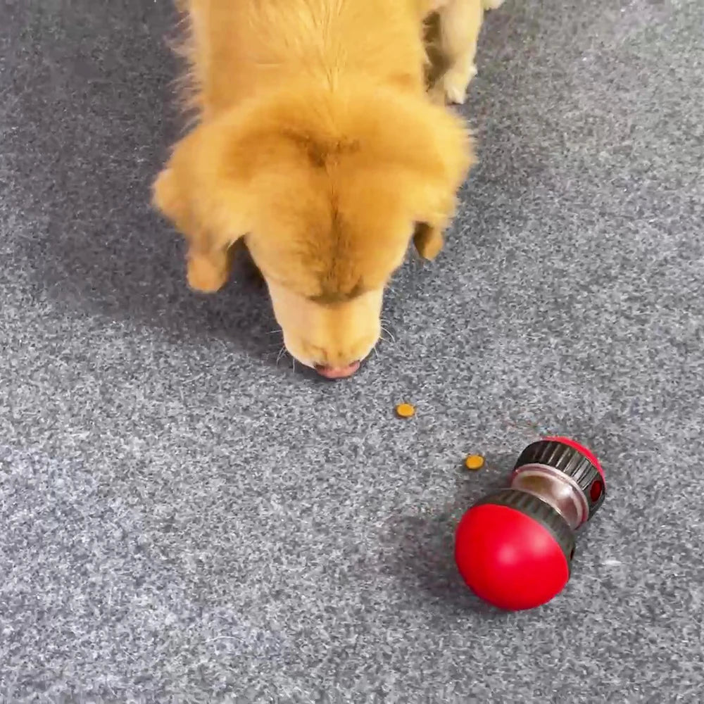 🐾 Godisboll/Slow Feeder – Aktiveringsleksak för Hund