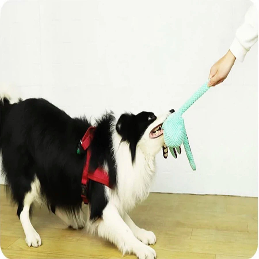 🐾 Hundleksak – Plyschbläckfisk med Pipljud