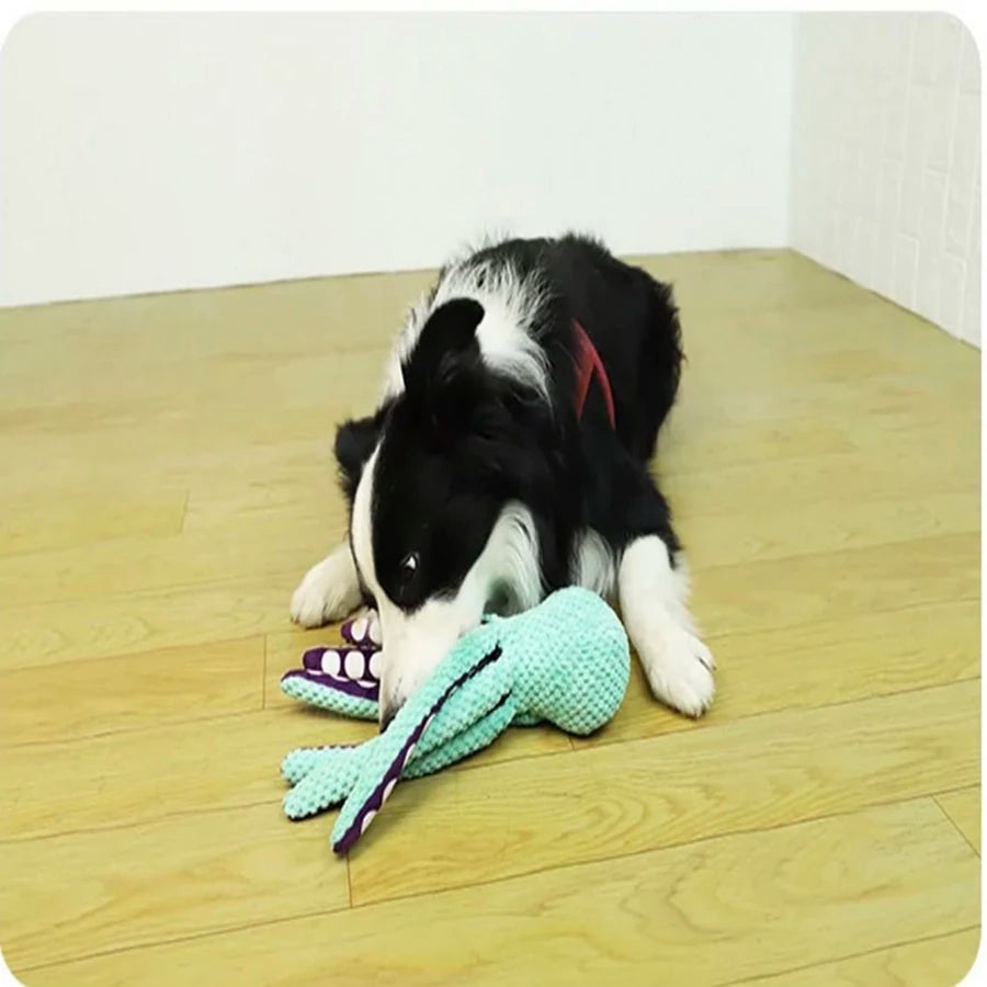 🐾 Hundleksak – Plyschbläckfisk med Pipljud